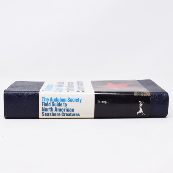 NAS Audubon Society Field Guide to North American Seashore Creatures Softcover - Picture 3 of 16